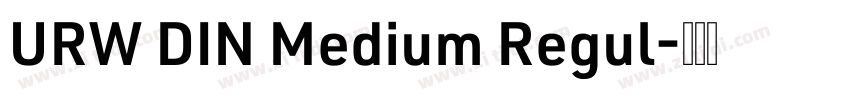 URW DIN Medium Regul字体转换